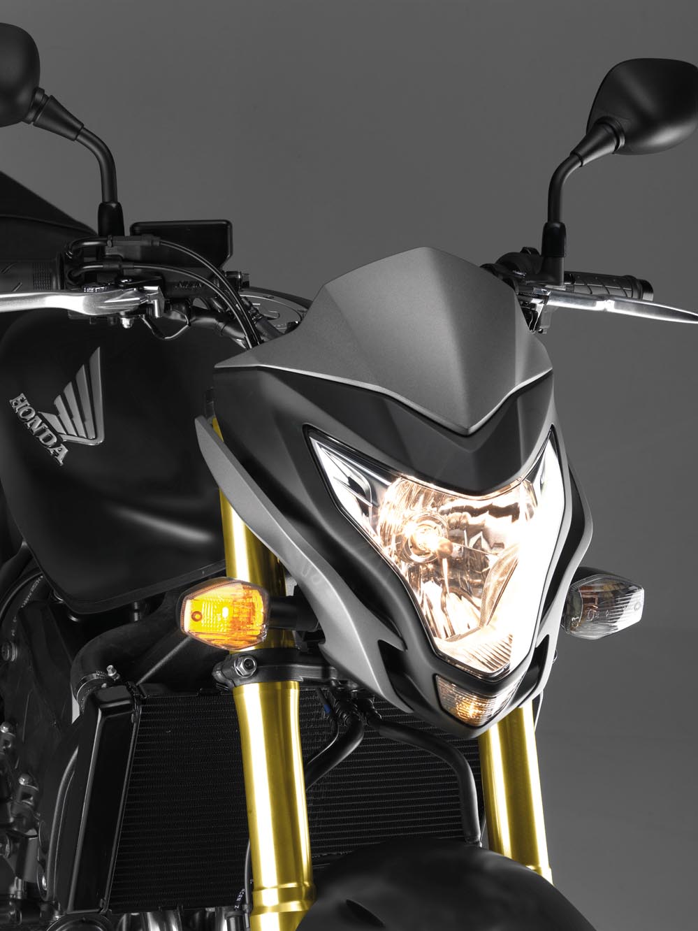 Фотография мотоцикла Honda CB 600 F HORNET 2013