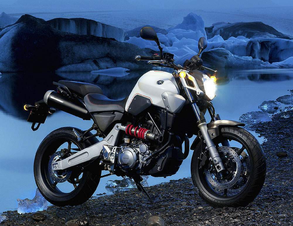 Фотография мотоцикла Yamaha MT-03 2006