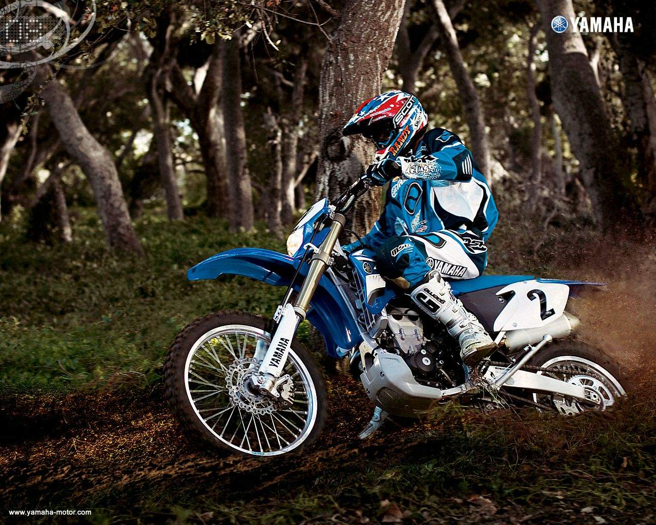 Мотоцикл Yamaha WR 450F 2007 фото