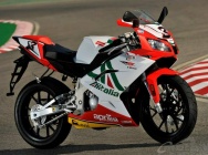 Мотоцикл Aprilia RS 125 SBK Alitalia Replica 2010 фото