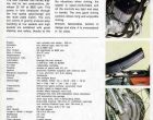 Мотоцикл Benelli 250 2C Phantom 1974 фото