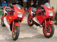 Мотоцикл Ducati 400F3 1986 фото
