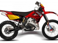 Мотоцикл GASGAS EC 250 RACING 2009 фото