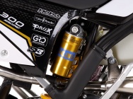 Мотоцикл GASGAS EC 250 RACING 2010 фото