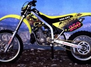 Мотоцикл GASGAS EC 250 1995 фото