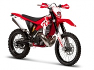 Мотоцикл GASGAS EC 250 2010 фото