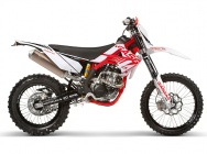Мотоцикл GASGAS EC 300 F 2013 фото