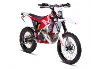 Мотоцикл GASGAS EC 300 R 2013 фото