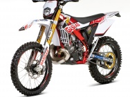 Мотоцикл GASGAS EC 300 REPLICA 2012 фото
