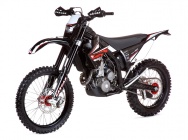 Мотоцикл GASGAS EC 450 F 2010 фото