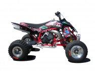 Мотоцикл GASGAS WILD HP 250 CROSS 2008 фото