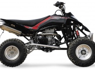 Мотоцикл GASGAS WILD HP 450 2007 фото