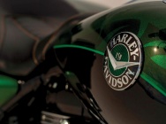 Мотоцикл Harley Davidson FLHRSE5 Road King CVO 2014 фото