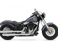 Мотоцикл Harley Davidson FLS Slim 2014 фото