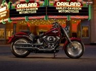 Мотоцикл Harley Davidson FLSTF Fat Boy 2013 фото