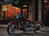 Мотоцикл Harley Davidson FLSTN Softail Deluxe 2012 фото