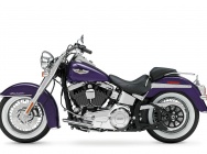 Мотоцикл Harley Davidson FLSTN Softail Deluxe 2014 фото