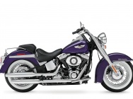 Мотоцикл Harley Davidson FLSTN Softail Deluxe 2014 фото