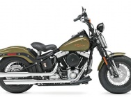 Мотоцикл Harley Davidson FLSTSB Softail Cross Bones 2008 фото