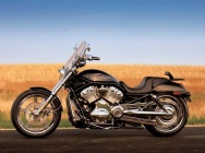 Мотоцикл Harley Davidson VRSCB V-Rod 2004 фото