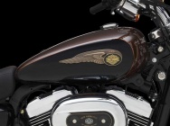 Мотоцикл Harley Davidson XL 1200C Sportster Custom 110th Anniversary 2013 фото