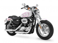 Мотоцикл Harley Davidson XL 1200C Sportster Custom H-D1 2012 фото