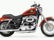 Мотоцикл Harley Davidson XL 1200C Sportster Custom 50th Anniversary 2007 фото