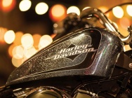 Мотоцикл Harley Davidson XL 1200V Seventy Two 2014 фото