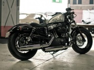 Мотоцикл Harley Davidson XL 1200X Forty-Eight 2010 фото