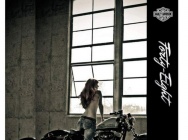 Мотоцикл Harley Davidson XL 1200X Forty-Eight 2010 фото