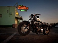 Мотоцикл Harley Davidson XL 1200X Forty-Eight 2011 фото