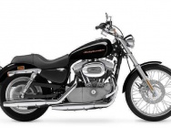 Мотоцикл Harley Davidson XL 883C Sportster Custom 2004 фото