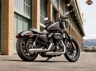 Мотоцикл Harley Davidson XL 883N Iron 2013 фото