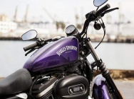 Мотоцикл Harley Davidson XL 883N Iron 2014 фото