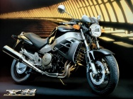 Мотоцикл Honda X Eleven 2000 фото