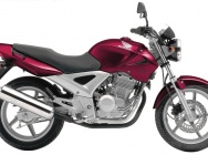 Мотоцикл Honda CBF 250 2004 фото