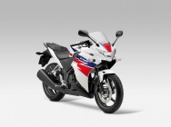 Мотоцикл Honda CBR 250 R 2013 фото