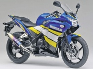 Мотоцикл Honda CBR 250R Moriwaki 2011 фото