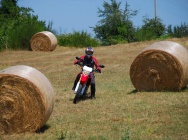 Мотоцикл Honda CRF 250 L 2012 фото