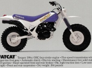 Мотоцикл Honda FATCAT 200 1986 фото