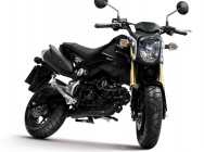 Мотоцикл Honda MSX 125 2013 фото
