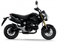 Мотоцикл Honda MSX 125 2013 фото