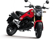 Мотоцикл Honda MSX 125 2013 фото