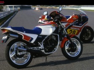 Мотоцикл Honda MVX 250F 1983 фото