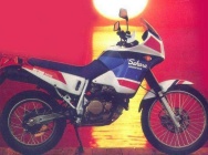Мотоцикл Honda NX 350 Sahara 2002 фото