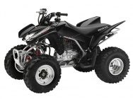 Мотоцикл Honda TRX 250 X 2012 фото