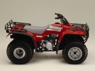 Мотоцикл Honda TRX 300 FOURTRAX 1989 фото