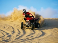 Мотоцикл Honda TRX 400 EX 2011 фото
