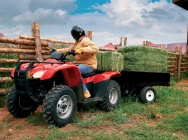 Мотоцикл Honda TRX 420 FA 2012 фото
