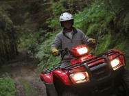 Мотоцикл Honda TRX 500 FE 2012 фото